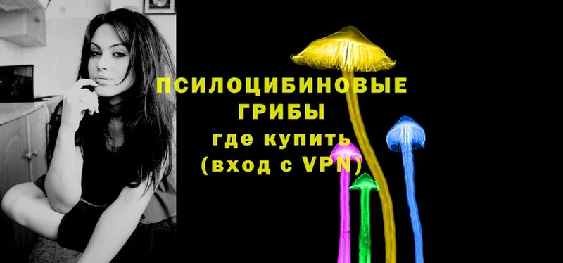 Псилоцибиновые грибы Psilocybe  наркотики  Семилуки 